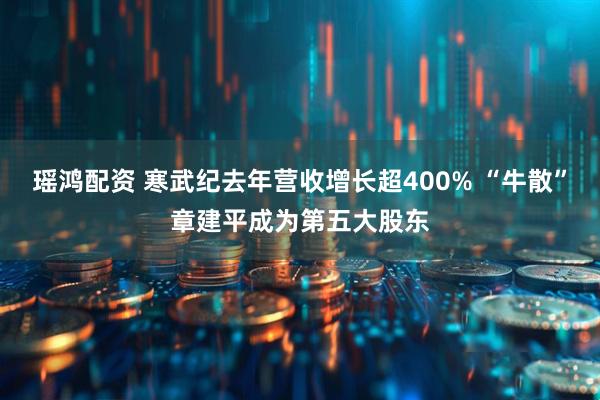 瑶鸿配资 寒武纪去年营收增长超400% “牛散”章建平成为第五大股东